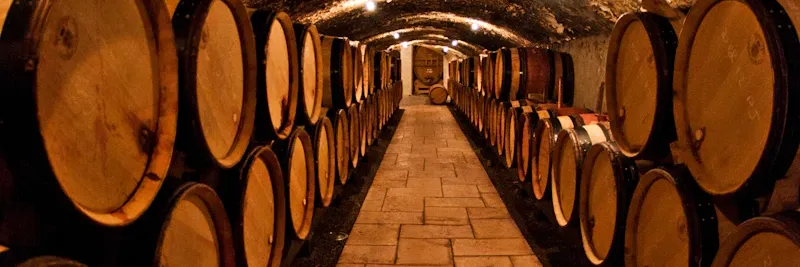 Groupe d'amis lors d'une dégustation de vin en cave