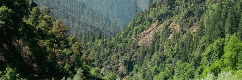 Convoi de rafts sur une rivière alpine avec montagne en arrière-plan