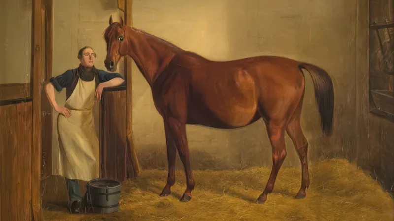 Cavalière ajustant la sangle d'un cheval dans une écurie