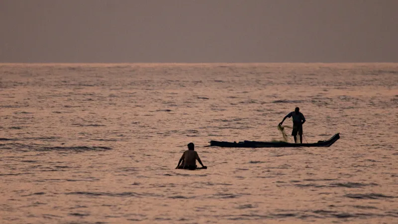 Groupe de paddles et kayaks alignés sur une plage au lever du soleil