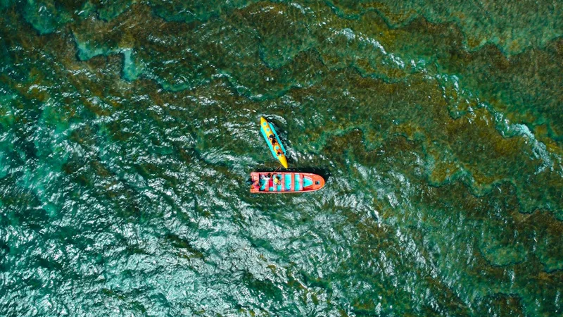 Groupe d'amis en kayak dans une baie turquoise