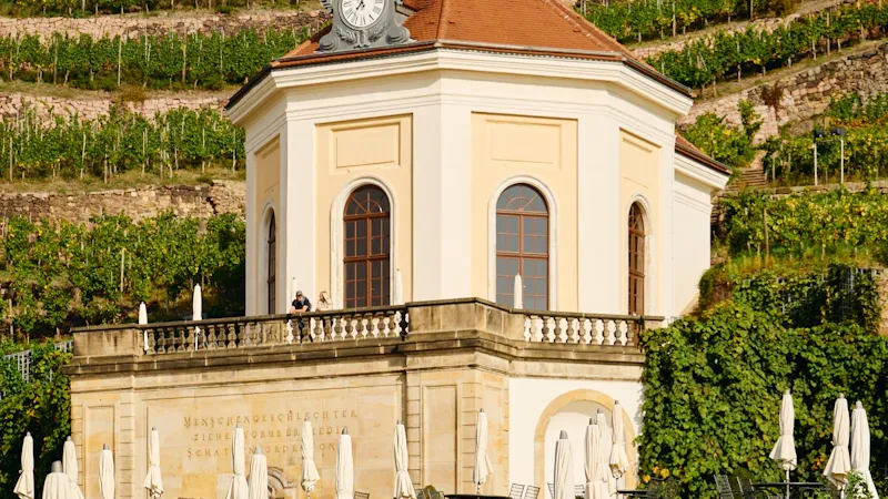 Groupe lors d'une dégustation de vin en terrasse de vignoble