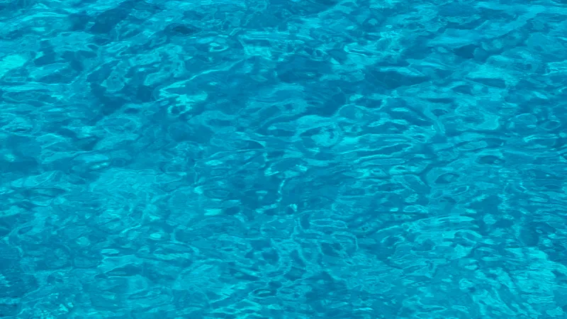 Moniteur de plongée avec des plongeurs en eau turquoise