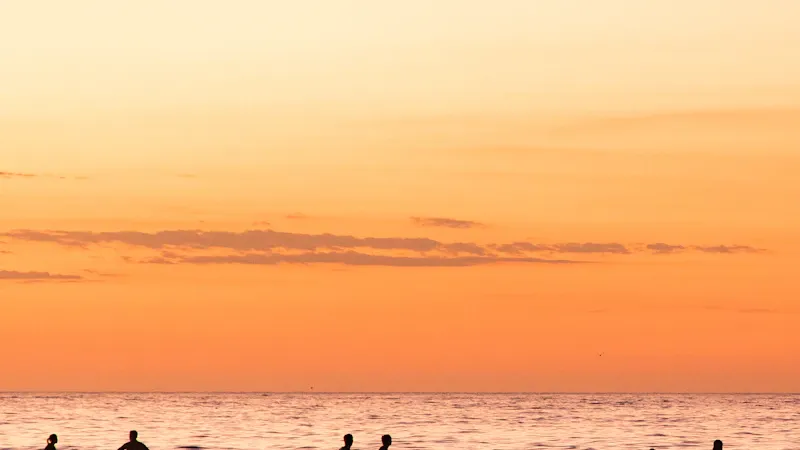 Groupe de surfeurs marchant vers l'océan au coucher du soleil