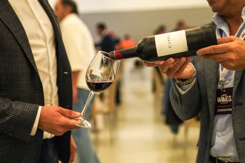Sommelier versant du vin rouge dans un verre INAO