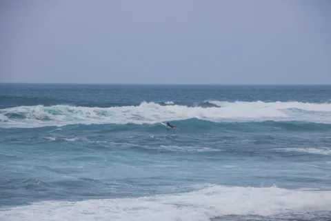 Session de surf vue depuis la plage