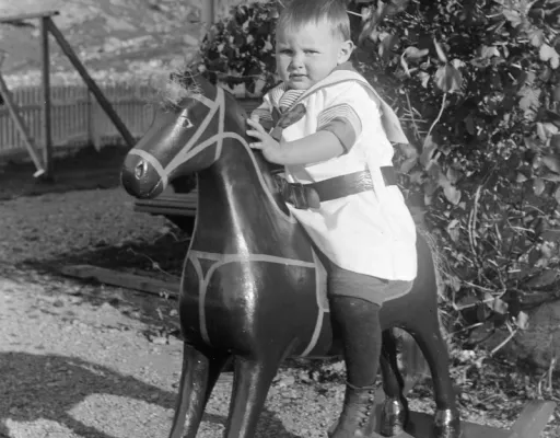 Organisation des stages vacances équitation
