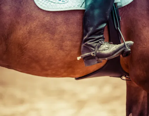 Suivi des niveaux galop des cavaliers