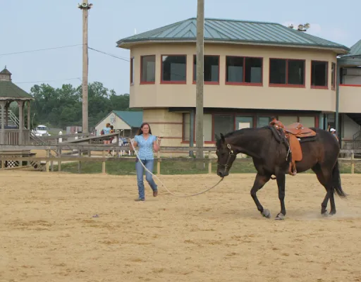 Téléphone qui sonne pendant un cours d'équitation
