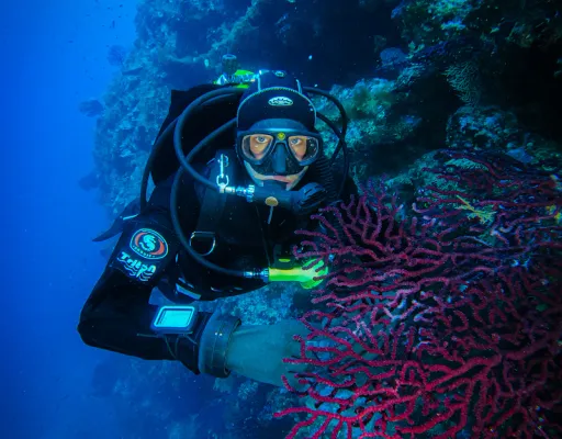 Gestion des niveaux de plongée