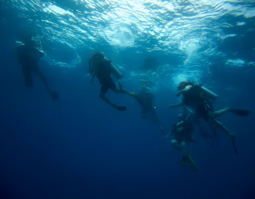 Composition des palanquées de plongée