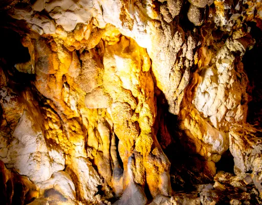 No-show et annulations en spéléologie