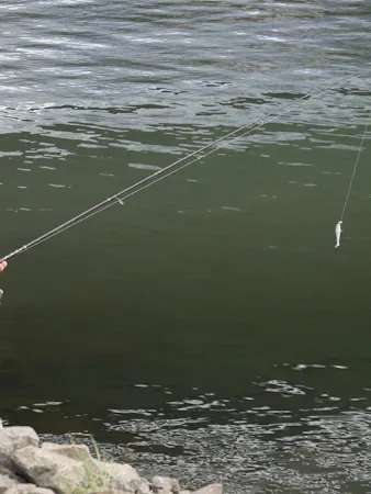 Guide de pêche montrant une technique au bord d'une rivière