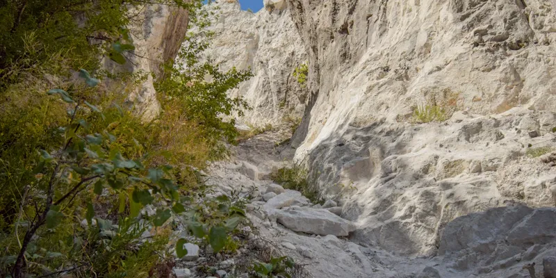 Groupe glissant sur un toboggan naturel en canyon