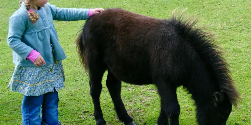 Enfant caressant un poney à l'écurie