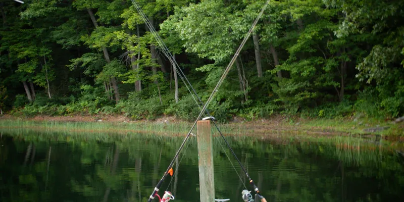 Cannes à pêche et moulinets alignés prêts pour une sortie