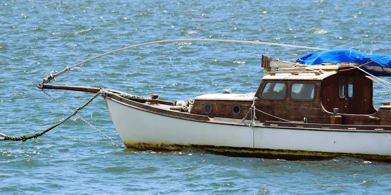 Prise d'un bar depuis un bateau en mer