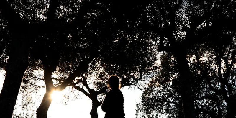 Groupe de pratiquants en posture de l'arbre au coucher de soleil en extérieur