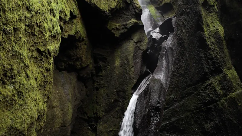 Groupe descendant une cascade en rappel dans un canyon