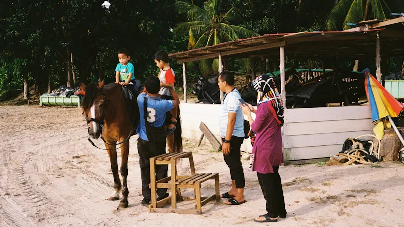 Groupe de cavaliers en reprise dans une carrière