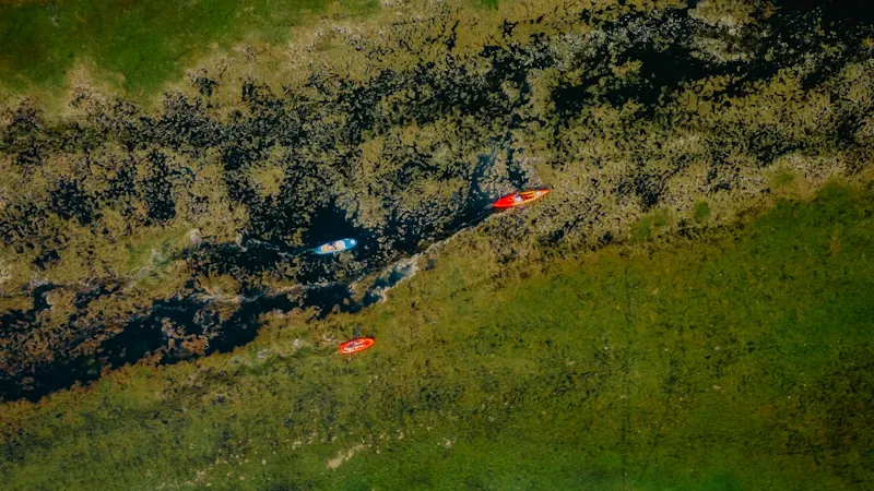 Famille en canoë-kayak sur une rivière calme