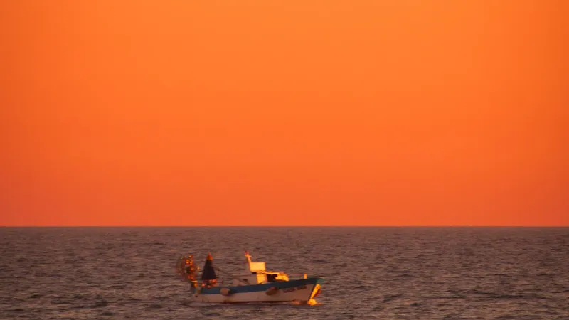Groupe de kayakistes pagayant au coucher du soleil