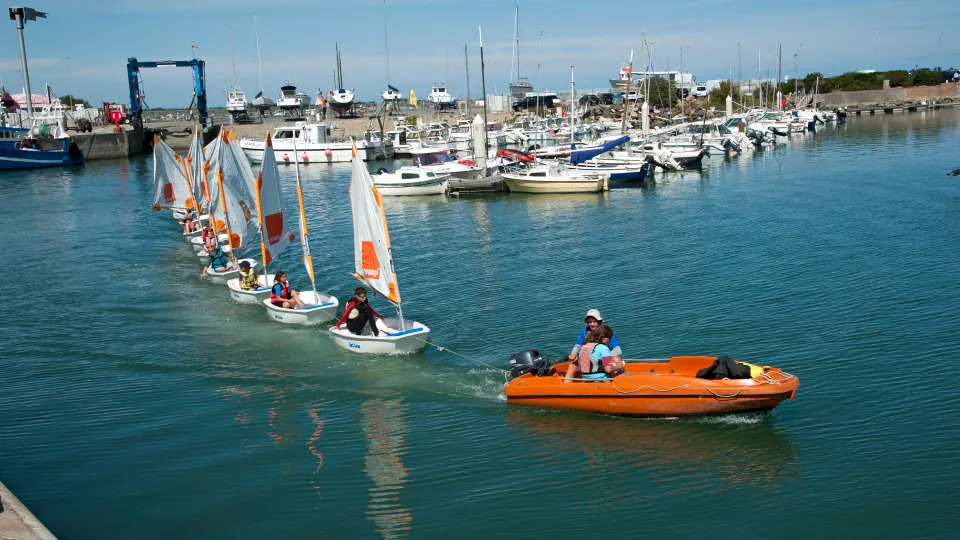 Flotte d'Optimist alignés sur la plage