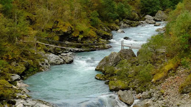 Groupe en raft dans les rapides d'une rivière alpine