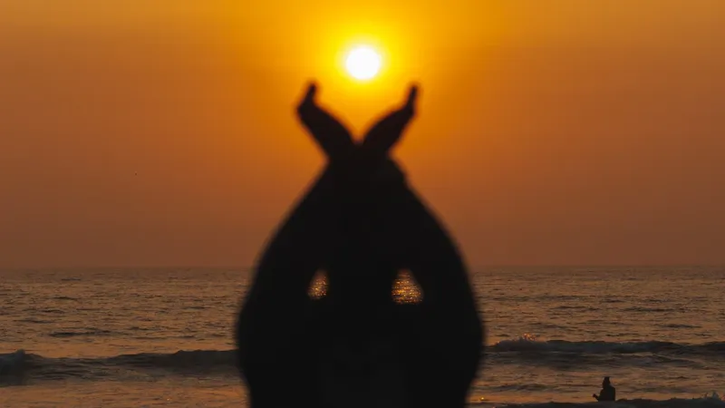 Groupe de pratiquants en savasana au coucher de soleil
