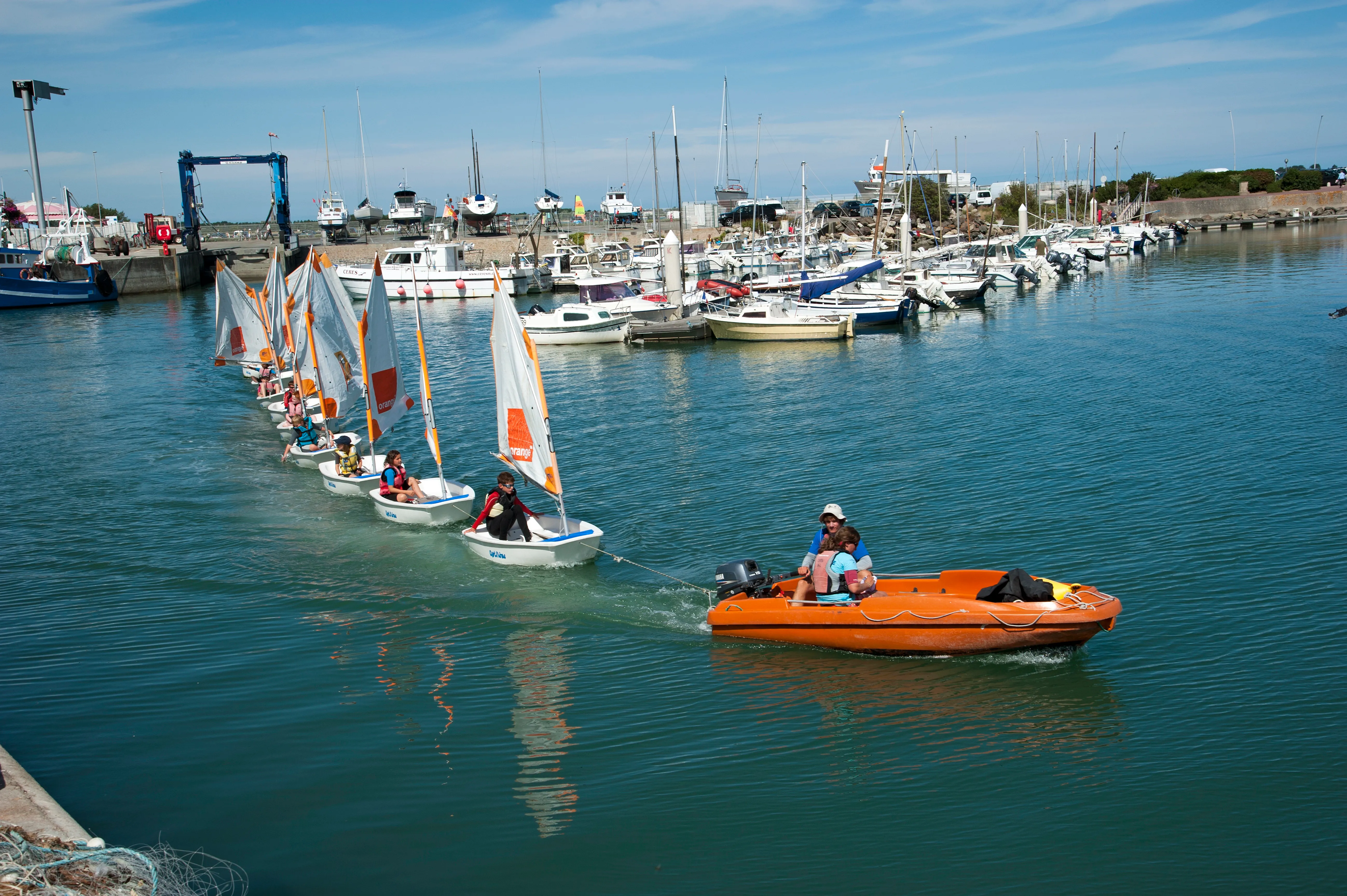 Optimists dans le port