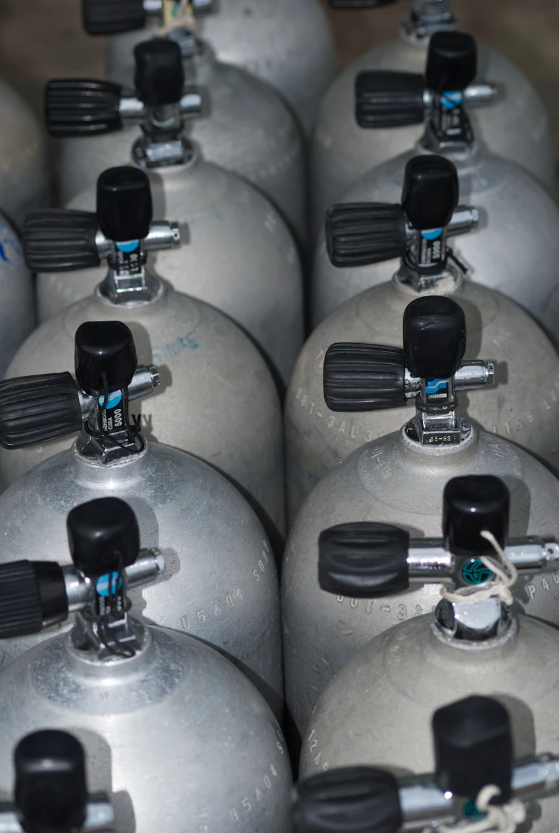 Collecte des certificats médicaux plongée